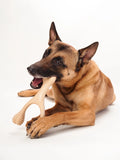 Betterbone Hard Chew Toy for Large Dogs - Hard -Durable, All-Natural, No Nylon, Sustainable