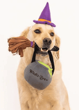 ZIPPY PAWS Halloween Costume Kit Witch Costume for Dogs, One Size Fits All - Dog Costumes / Dog coats