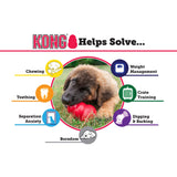 KONG Classic Medium Treat Stuff able Durable Dog Fetch & Chew Toy