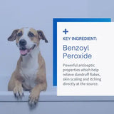 Sensovet Benzoyl Peroxide Shampoo For Dogs & Cats - 12oz