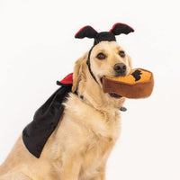 ZIPPY PAWS Halloween Costume Kit Dracula Costume for Dogs, One Size Fits All - Dog Costumes / Dog coats