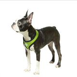 Gooby Soft Mesh Dog Harness in all sizes and colors - Small, Medium, Large