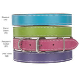 Casual Canine Flat Leather Dog Collars for Dogs