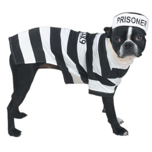 Casual Canine Prison Pooch Costume - Dog Costumes