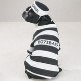 Casual Canine Prison Pooch Costume - Dog Costumes