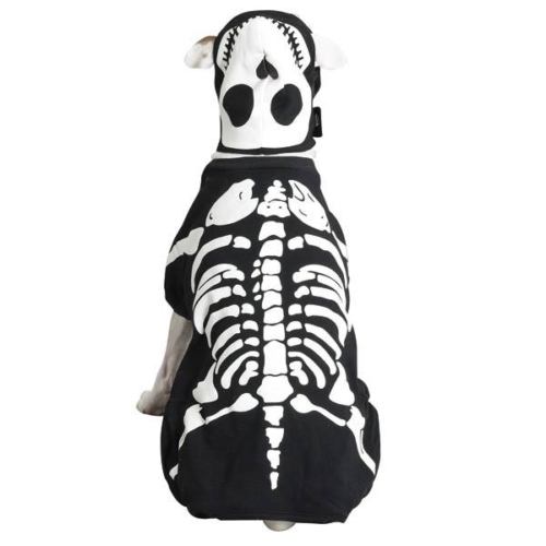 Casual Canine Glow Bones Skeleton Costume for Dogs - Dog Costumes / Dog coats